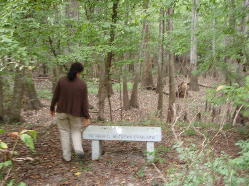 Octavia C. McCuean Overlook