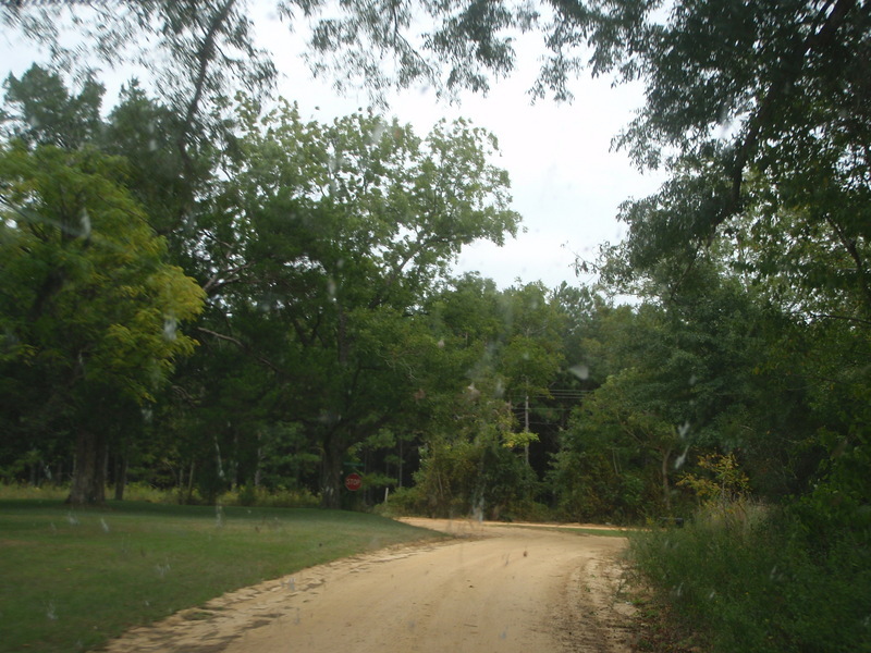Martin Road