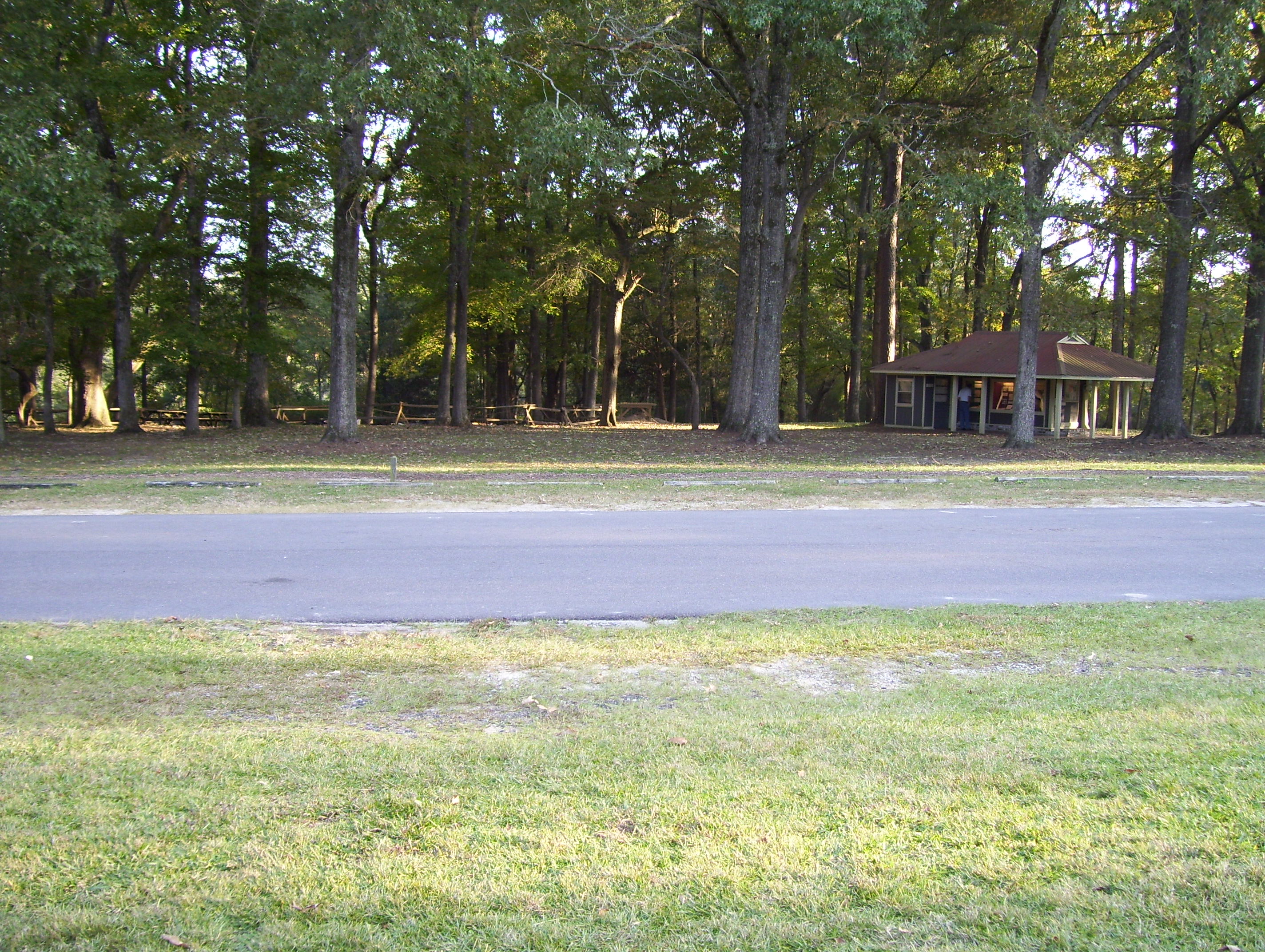 View towards river