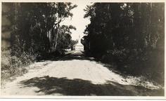 [road ca. 1910]