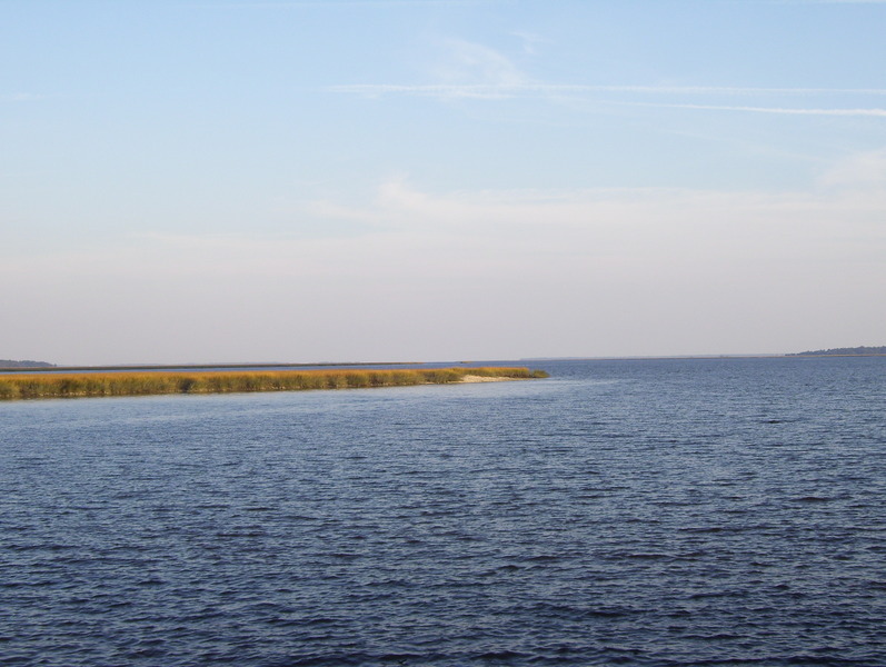 River and ocean