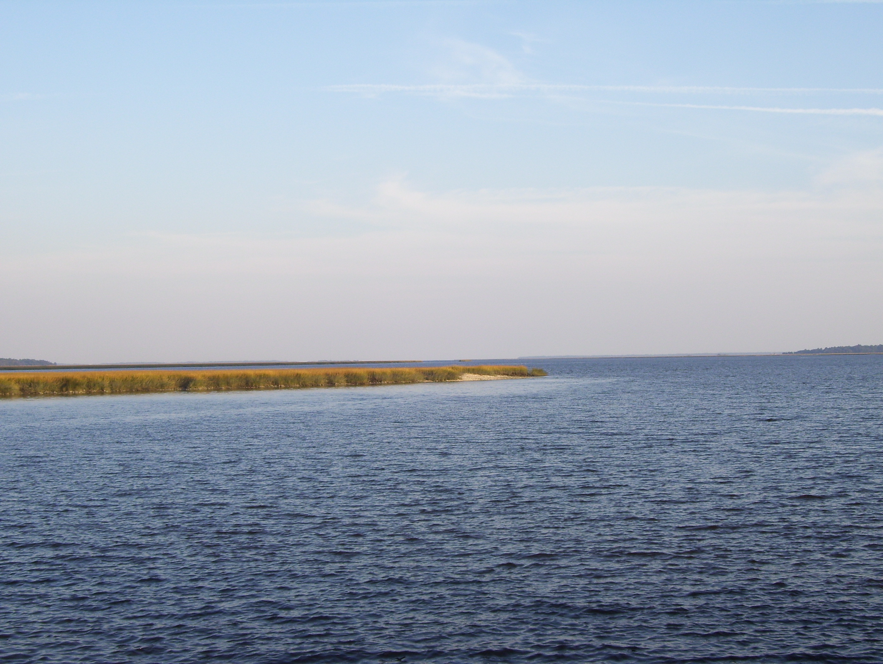 River and ocean