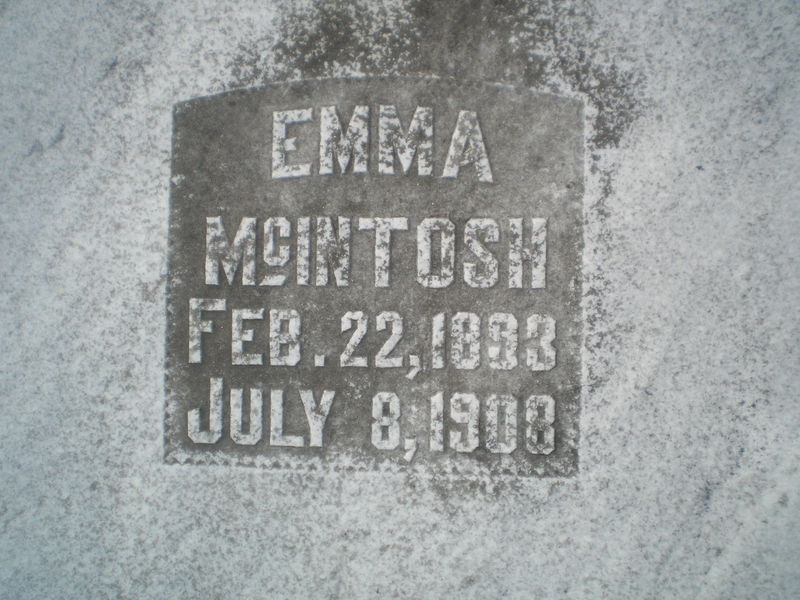 Emma McIntosh Feb. 22, 1833 July 8, 1908